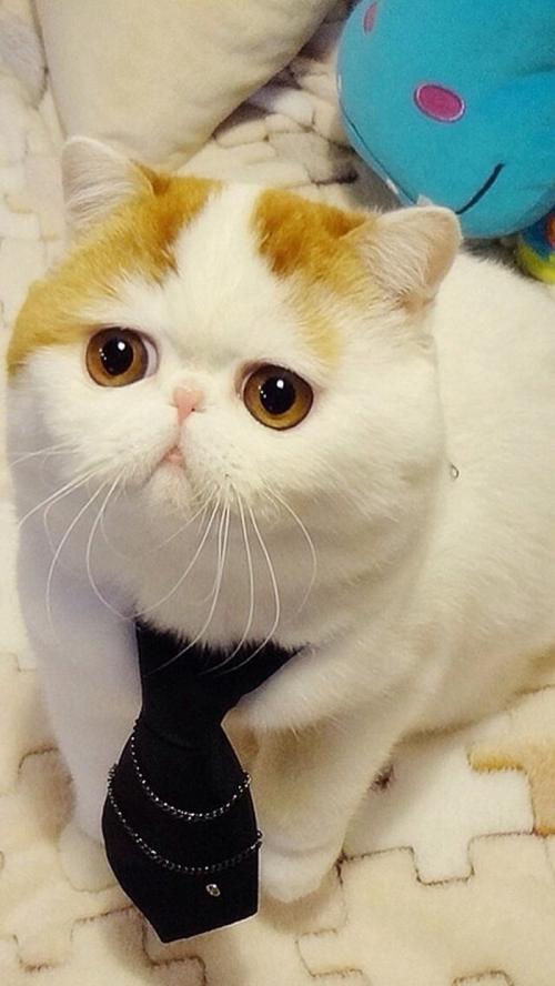 ÊÜÇ¿Àä¿ÕÆøÄÏϵÄÓ°Ïì ±±¾©Êн«³öÏÖ³ÖÐøµÍÎÂÌìÆø