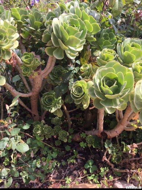 °Í˹¿üÌØº±¼û»×÷Åijö7.58ÒÚÔª ´´Ï¶àÏî¼Í¼