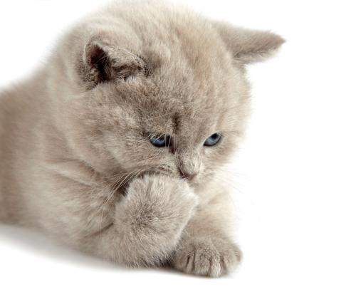 ¶¨µ÷з¢Õ¹½×¶Î¡°ÈýÅ©¡±¹¤×÷ÖØµã ¹Ø¼ü´ÊÀï¿´¹Ø¼ü