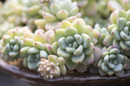 ¹óÖÝÊ¡Êг¡¼à¶½¹ÜÀí¾ÖÔÒ»¼¶Ñ²ÊÓÔ±ÍõÓ±»²é