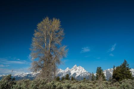 ÍÑÆ¶¹¥¼á£üÐÃÖÝ£º¡°×ßÎ÷¿Ú¡±¹ÊµØµÄ·´Æ¶À§¾öÕ½