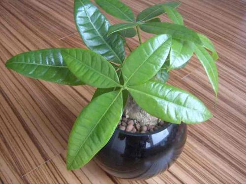 永4.2Ԫ㽭һҽթƭ