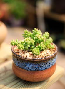 »ÿյѶһȺˡ롰һǡ˫򱼸