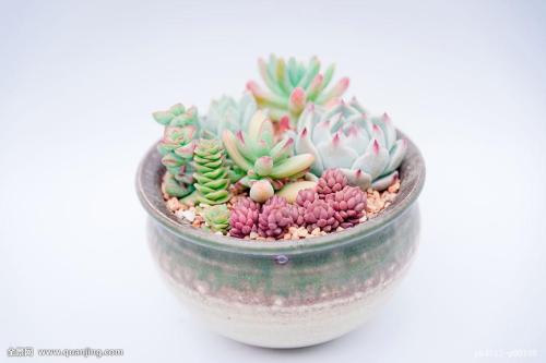 ¡°¸ßÌú+ÑÐѧ¡± ½âËøÑÐѧÐÂÉú̬