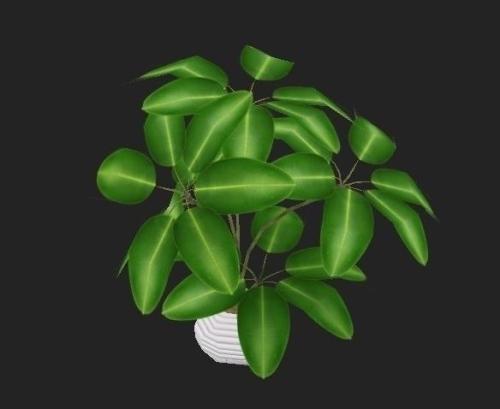 ·ÆÂɱö¶Ô20¸ö¹ú¼ÒºÍµØÇøÊµÊ©ÁÙʱÈë¾³½ûÁî