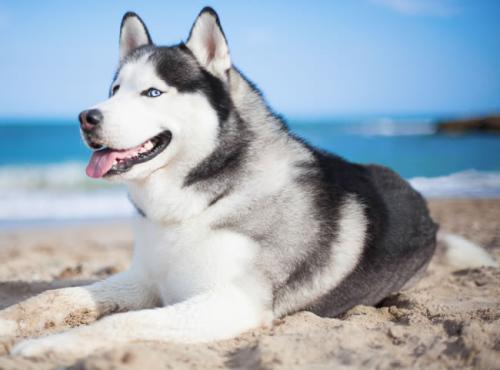 ºú´º»ª£º½ÓÐøÖ§³ÖÍÑÆ¶µØÇø·¢Õ¹ºÍȺÖÚÉú»î¸ÄÉÆ