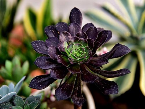 ÌìÆøÔ¤±¨Ô±ÕâÑùÁ¶³É:¼ûʶ¸÷ÖÖÌìÆø ¾Àú·ç˪ÓêÑ©